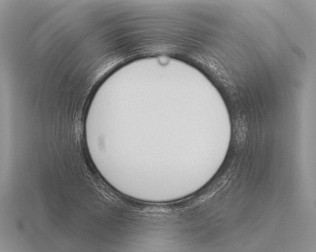 X0000115431073200912161429