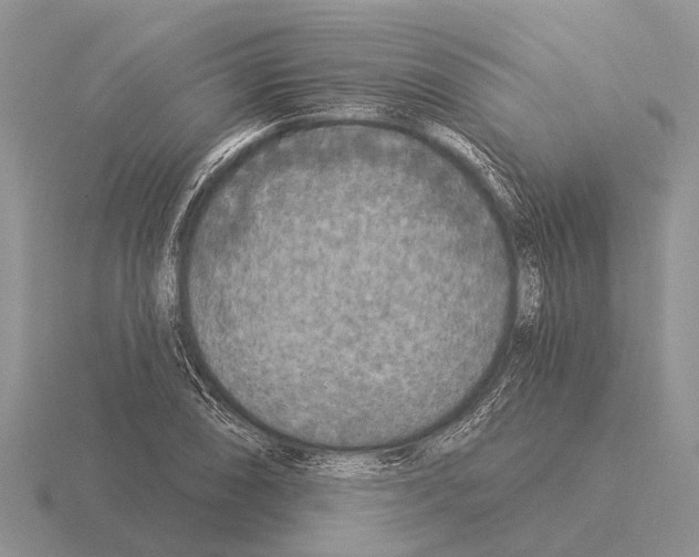 X0000115431074200912161429