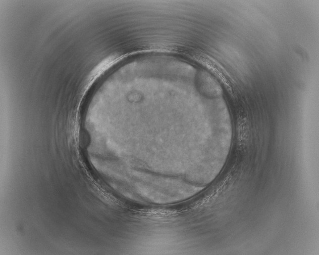 X0000115431077200912161429