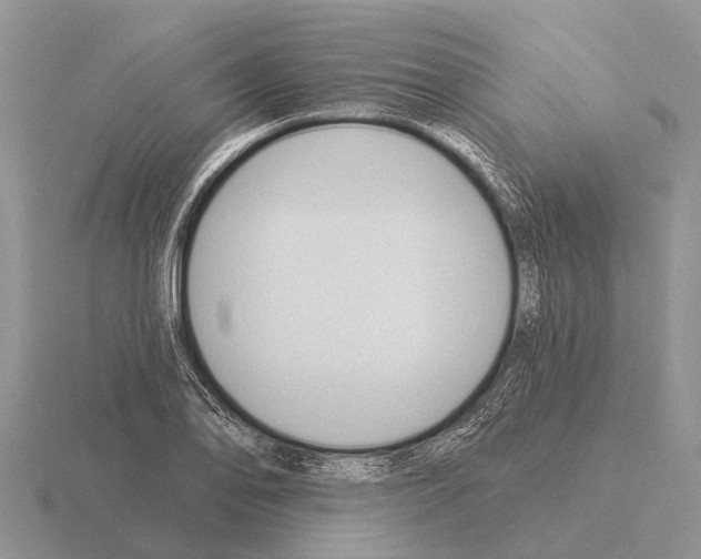 X0000115431078200912161429