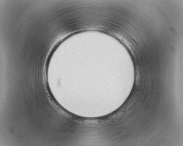 X0000115431080200912161429