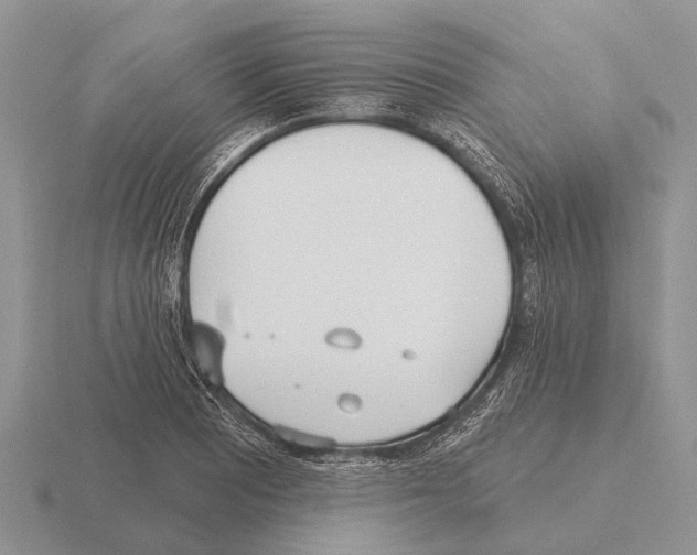 X0000115431081200912161429