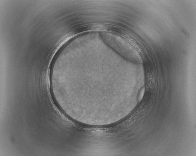 X0000115431084200912161429