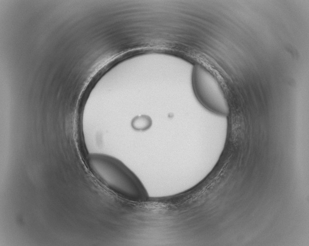 X0000115431085200912161429