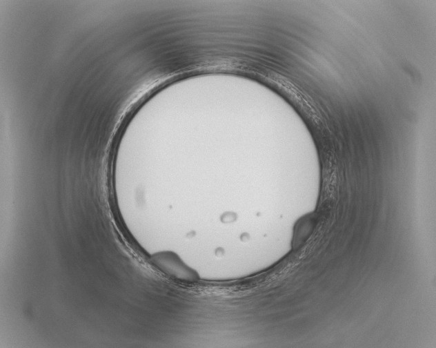 X0000115431086200912161429