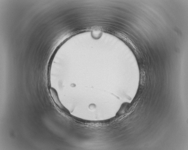 X0000115431087200912161429