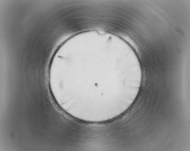 X0000115431088200912161429