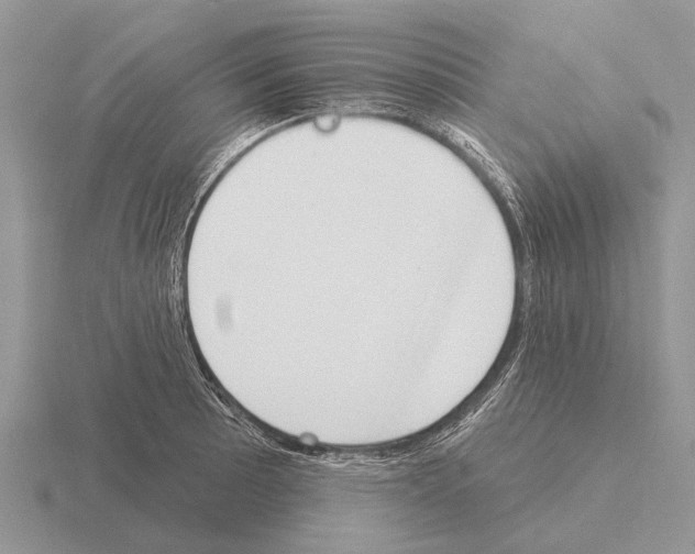 X0000115431089200912161429