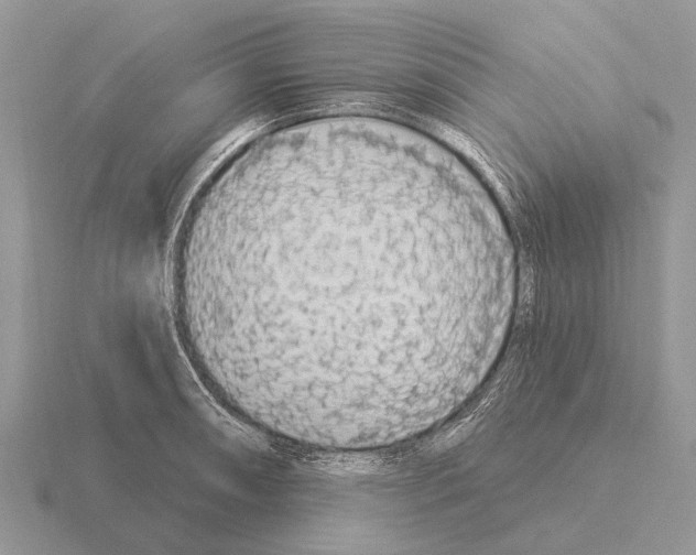 X0000115431090200912161429