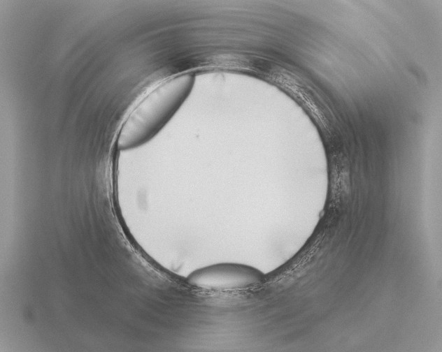 X0000115431092200912161429