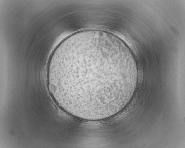 X0000115431094200912161429