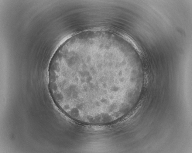 X0000115431095200912161429