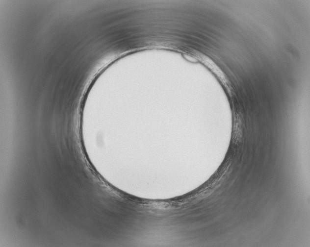 X0000115431096200912161429