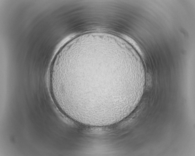 X0000115431098200912161429