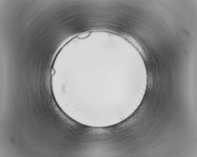 X0000115431100200912161429