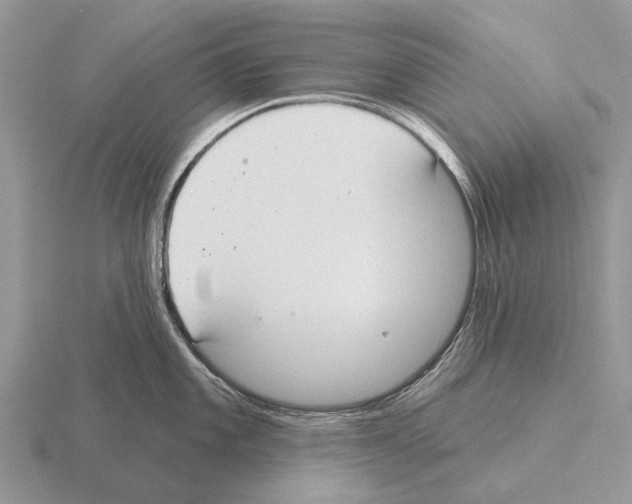 X0000115431101200912161429