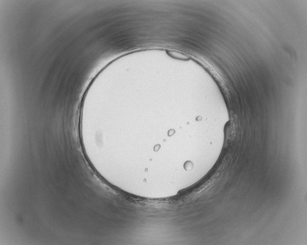 X0000115431102200912161429