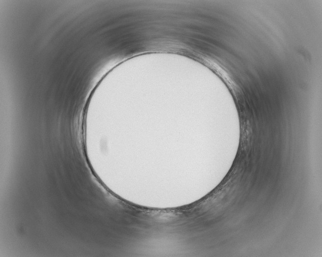 X0000115431103200912161429