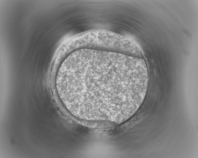 X0000115431104200912161429