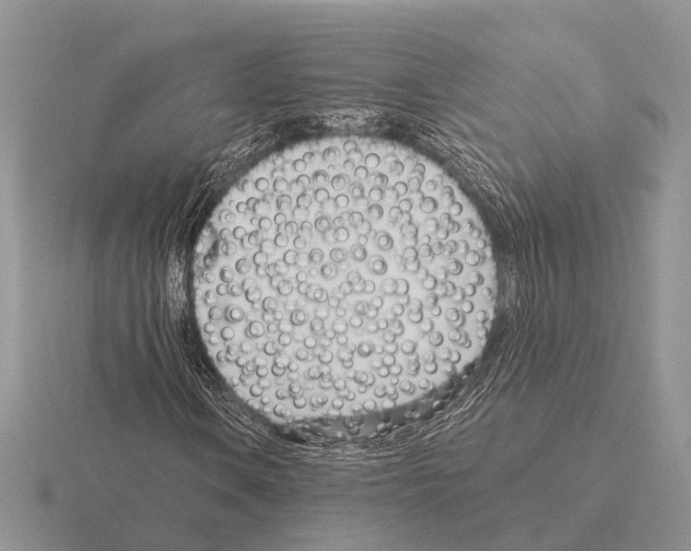 X0000115431106200912161428