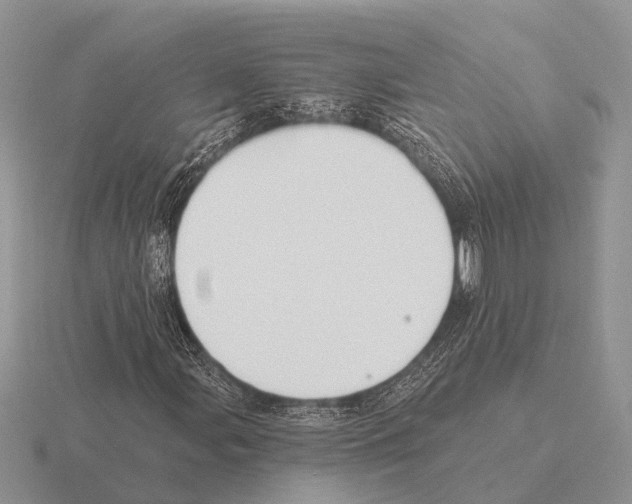 X0000115431107200912161428