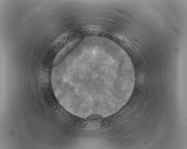 X0000115431110200912161428