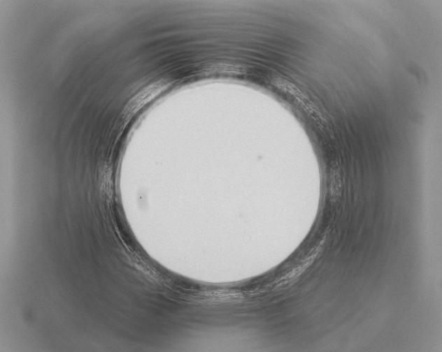 X0000115431113200912161428