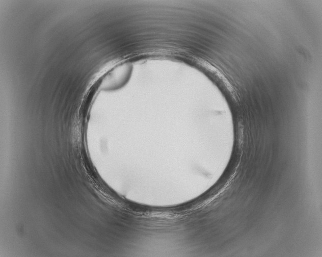 X0000115431114200912161428