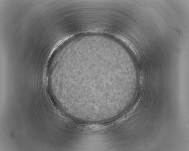 X0000115431117200912161428