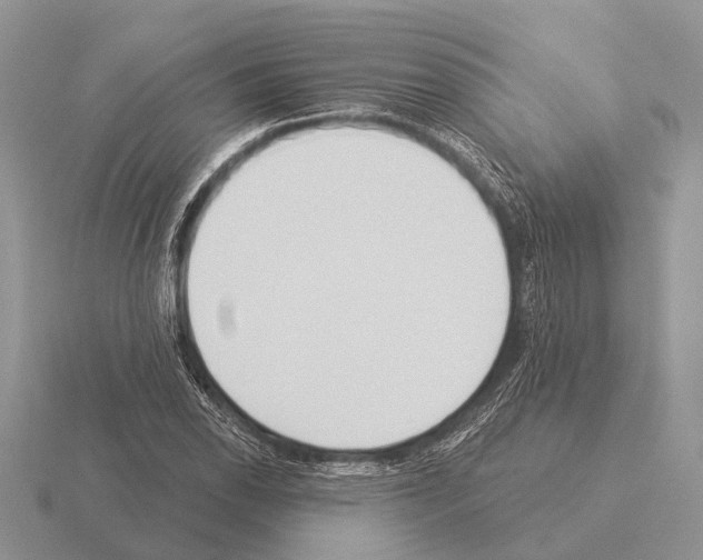 X0000115431118200912161428