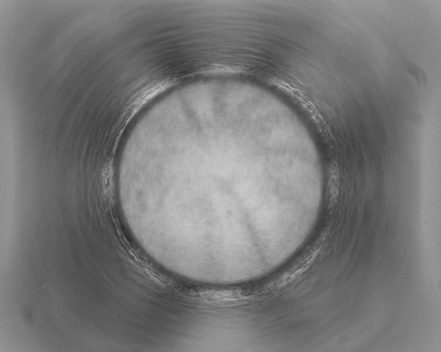 X0000115431121200912161428