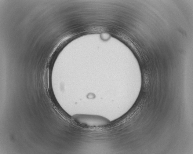 X0000115431123200912161428