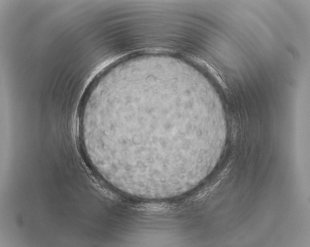 X0000115431125200912161428