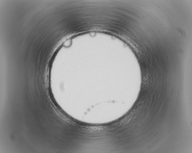 X0000115431126200912161428