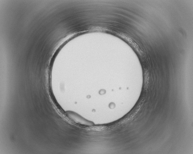 X0000115431134200912161429