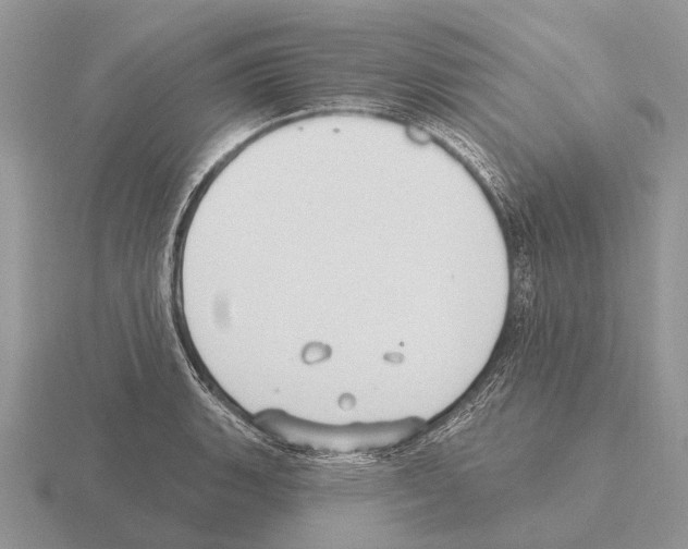 X0000115431135200912161429