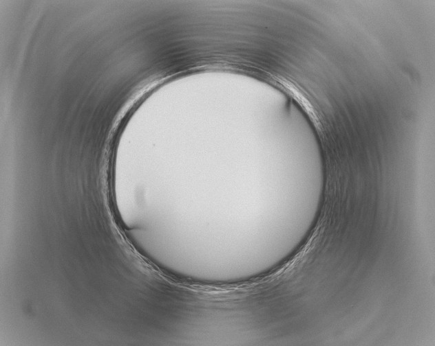 X0000115431138200912161429