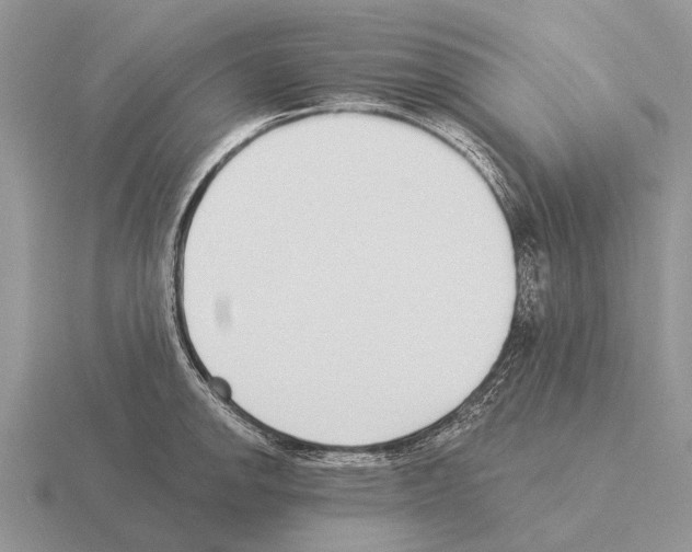 X0000115431142200912161429