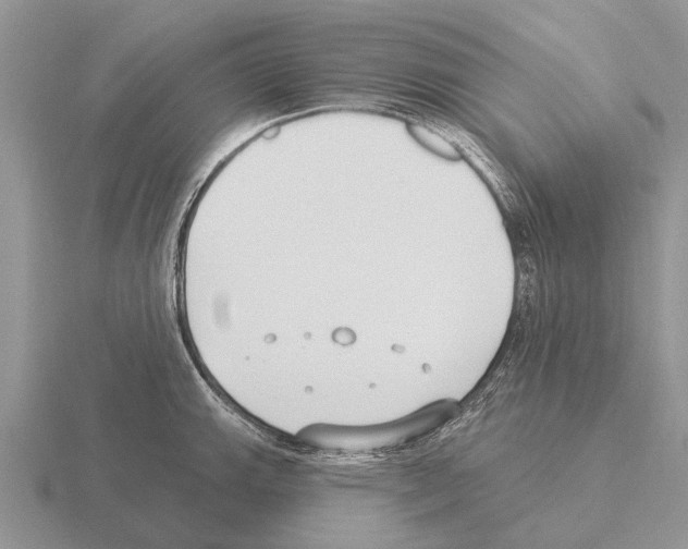 X0000115431143200912161429