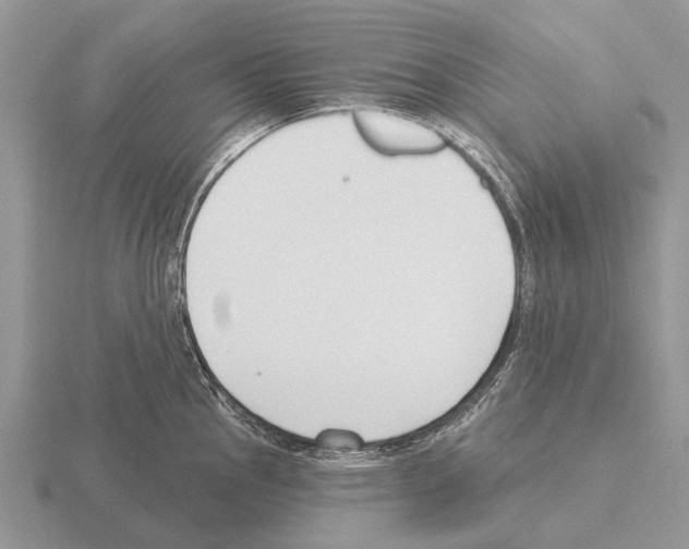 X0000115431145200912161429