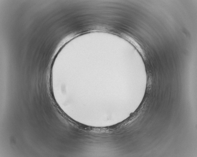 X0000115431146200912161429