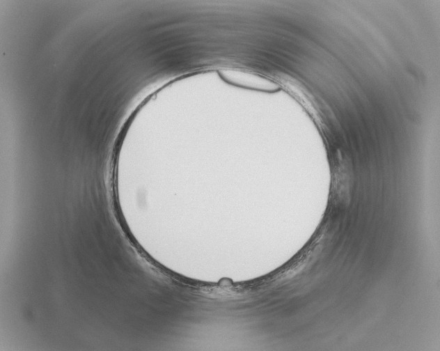 X0000115431149200912161429