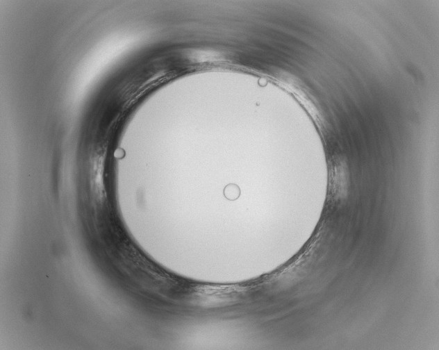 X0000115431150200912161429