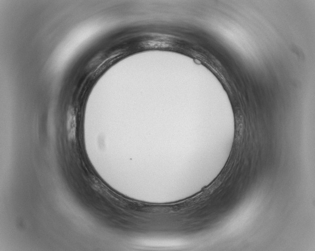 X0000115431151200912161429