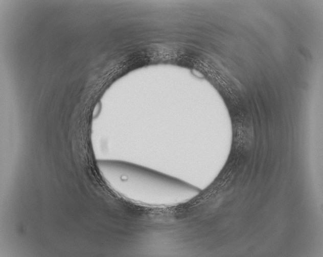 X0000115431153200912161428