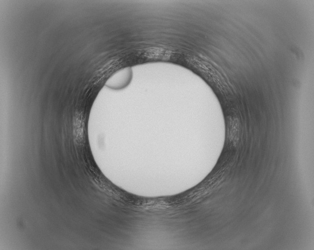 X0000115431154200912161428