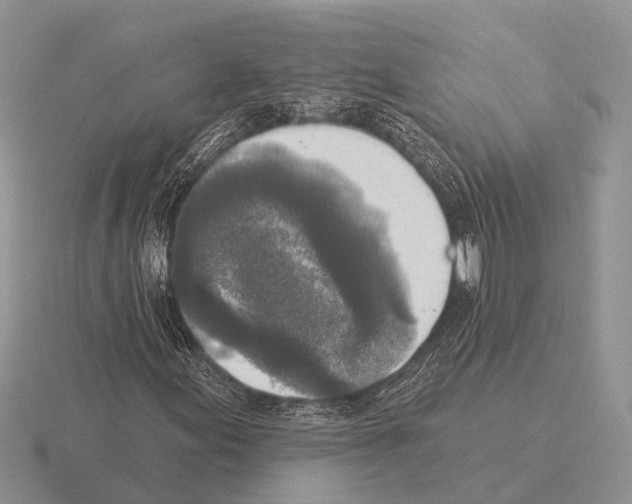 X0000115431155200912161428