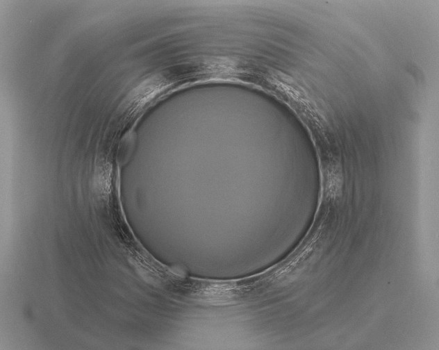 X0000115431161200912161428