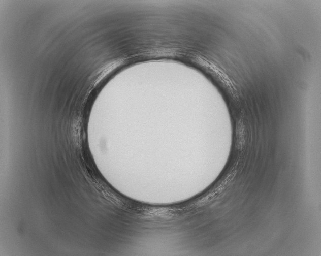 X0000115431162200912161428