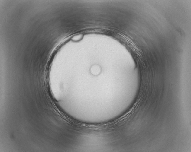 X0000115431164200912161428